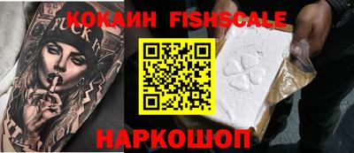 крисы Пенза