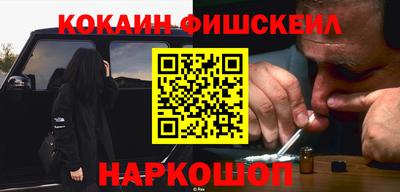 крисы Пенза