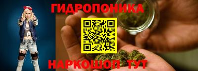 крисы Пенза