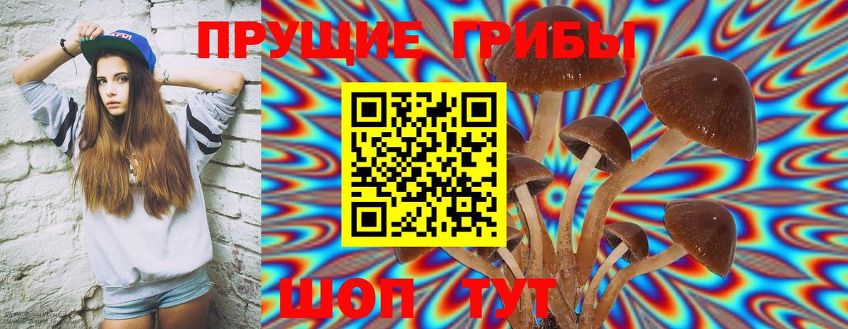 Псилоцибиновые грибы Psilocybine cubensis  Псилоцибиновые грибы Cubensis  что такое наркотик  Вход с VPN  Петропавловск-Камчатский 