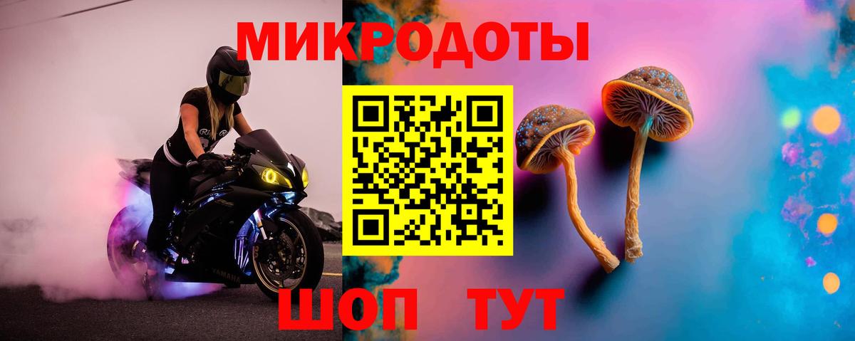Псилоцибиновые грибы MAGIC MUSHROOMS Петропавловск-Камчатский